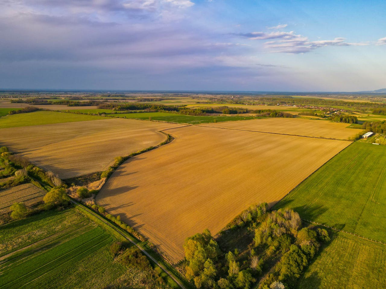 Agricultural field